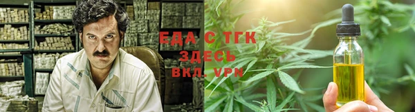 шишки Лабытнанги