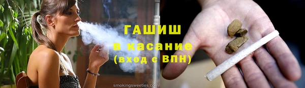 шишки Лабытнанги