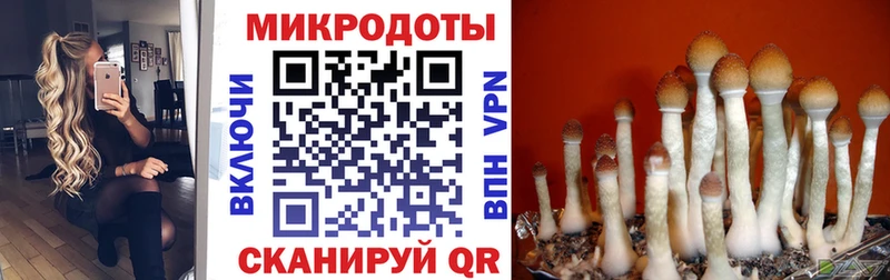Галлюциногенные грибы мицелий  Невьянск 